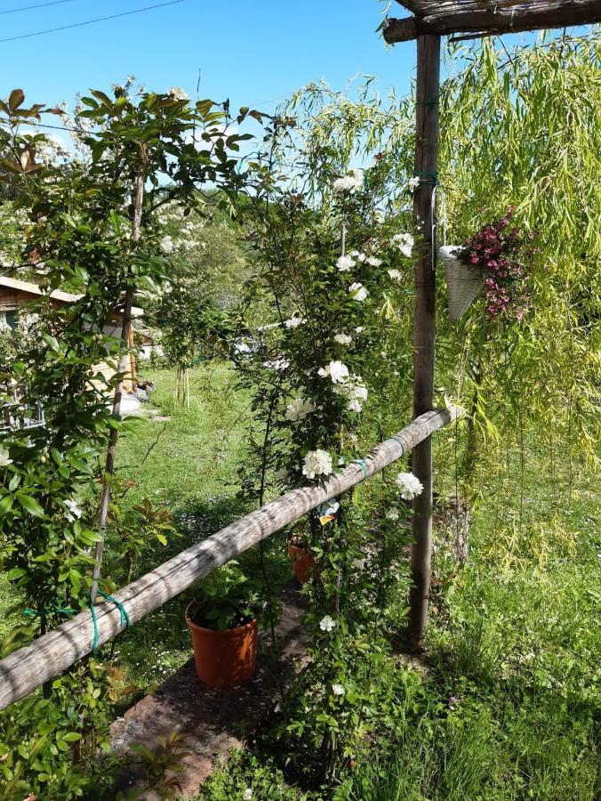 La Bellana Lägenhet Guardistallo Exteriör bild