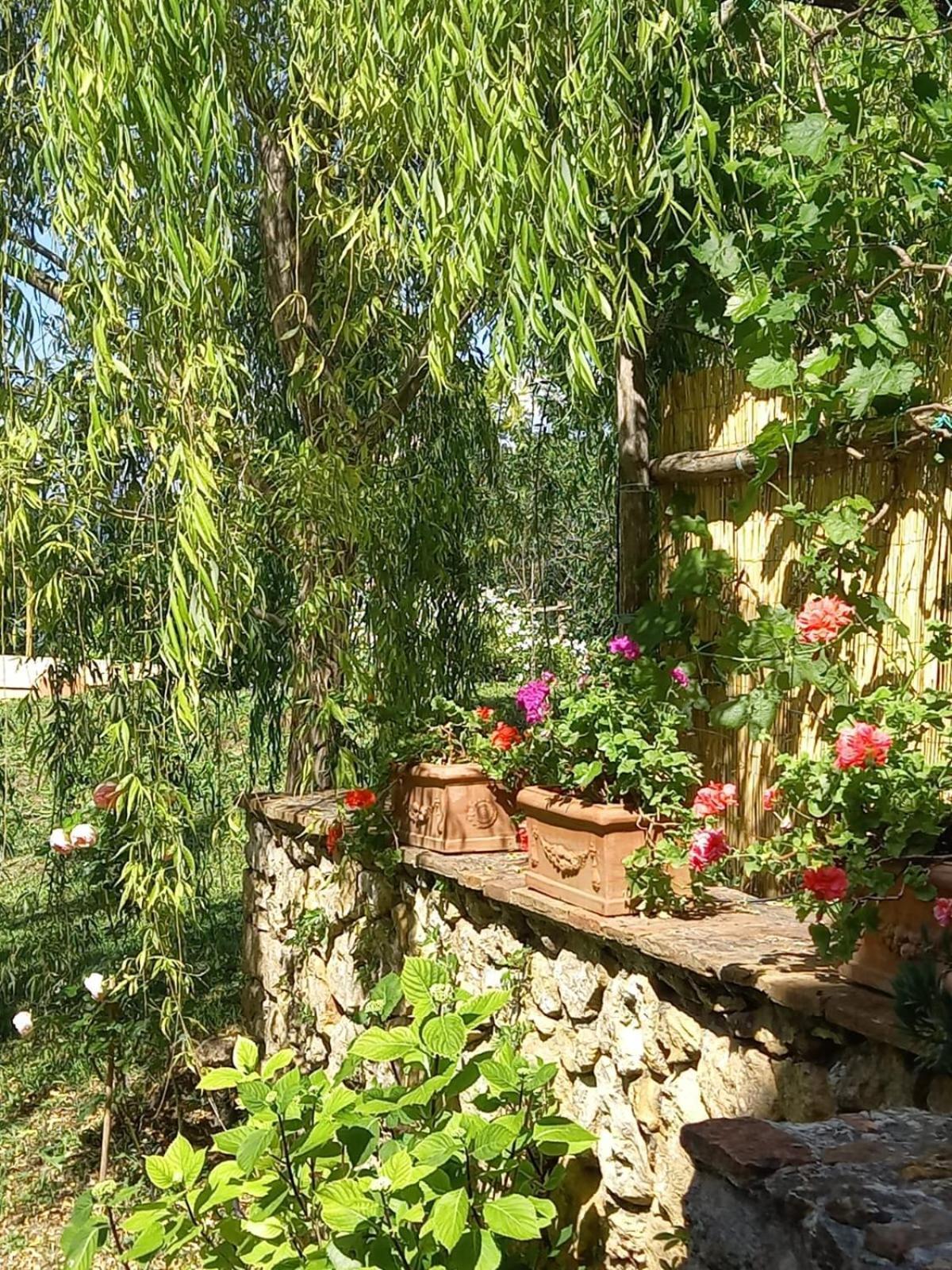 La Bellana Lägenhet Guardistallo Exteriör bild