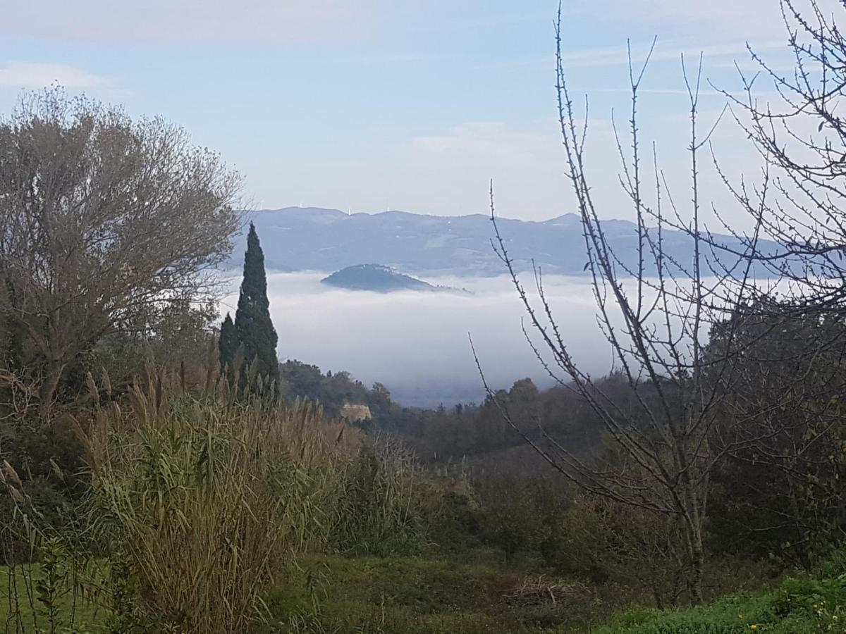 La Bellana Lägenhet Guardistallo Exteriör bild